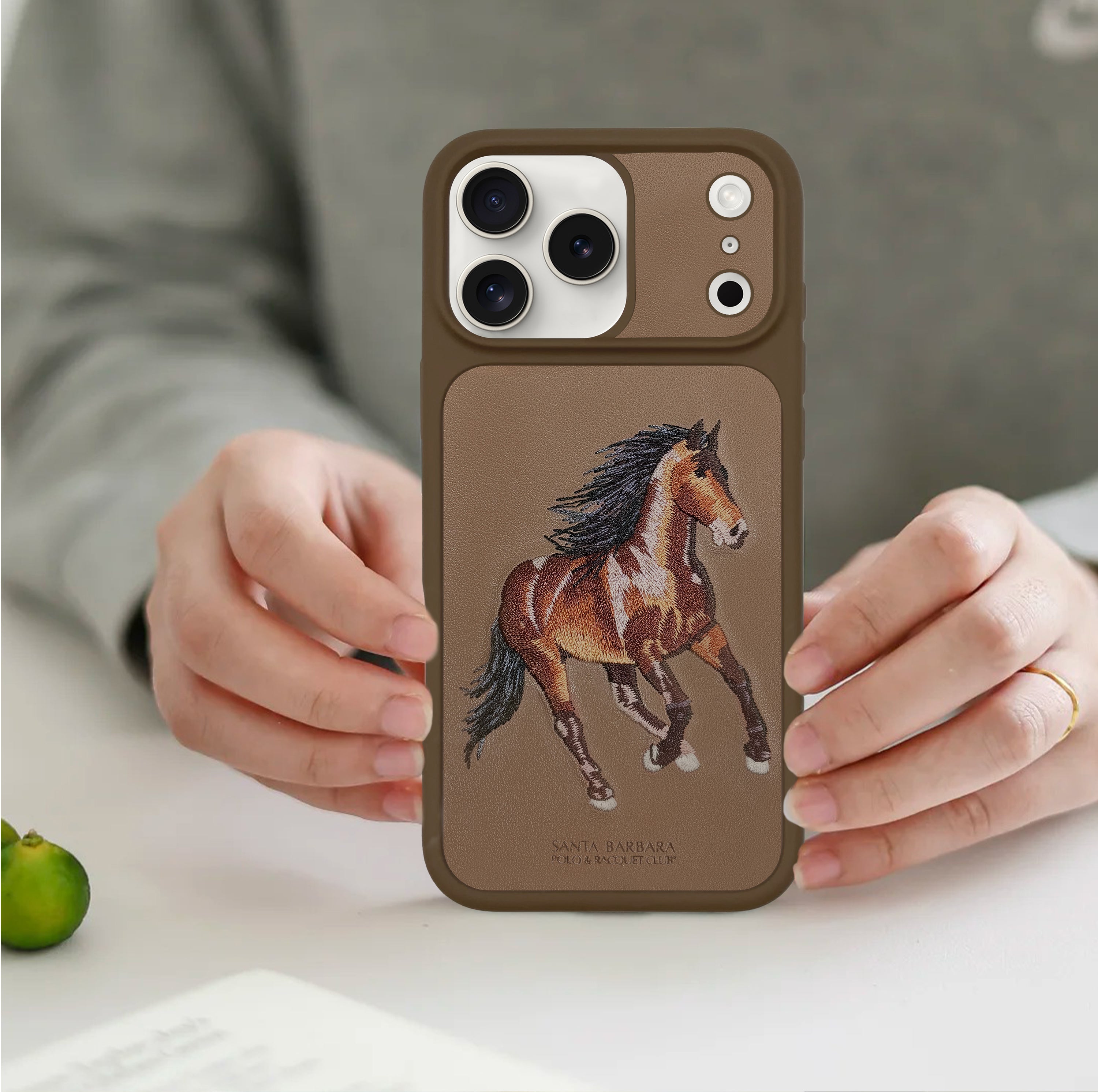 Horse Emoidery Boris Santa Barbara Case For iPhone 17 Series