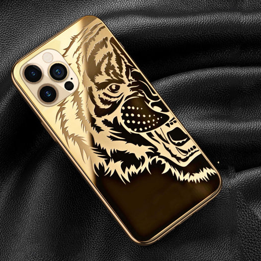 The Luxurious Tiger Back Case With Golden Edges For iPhone 12 Pro