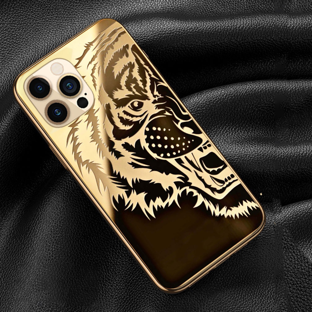 The Luxurious Tiger Back Case With Golden Edges For iPhone 12 Pro